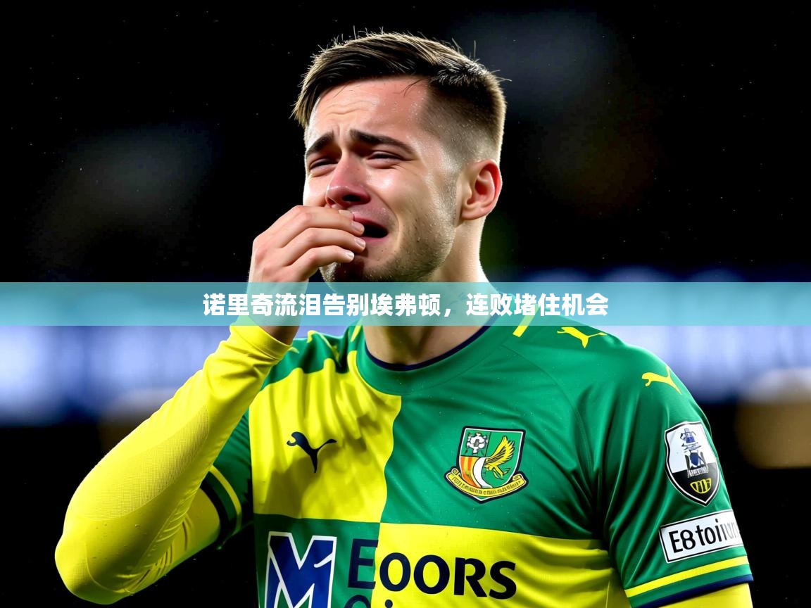 2025爱游戏体育在线app诺里奇流泪告别埃弗顿，连败堵住机会